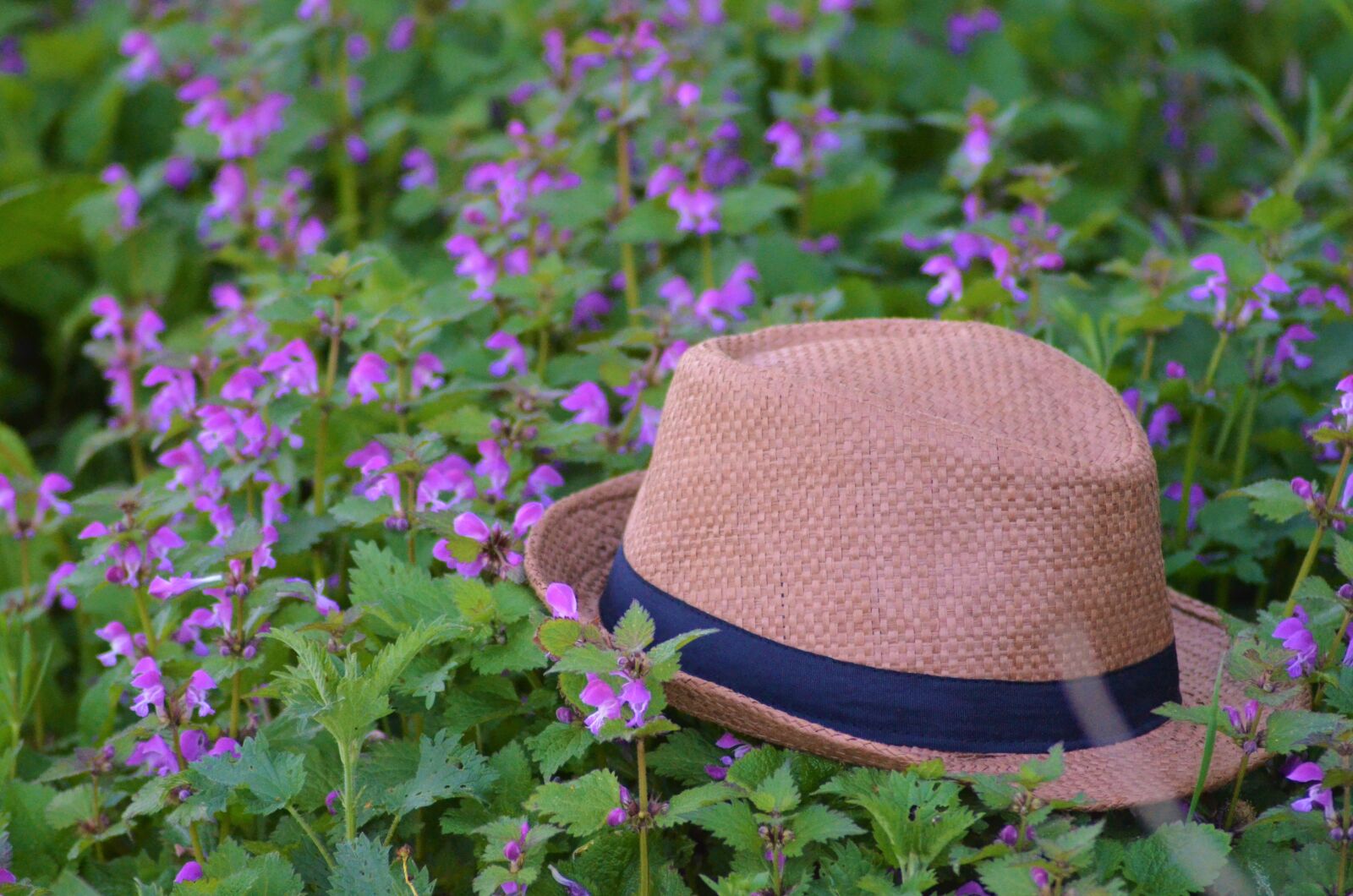 Nikon D5100 sample photo. Bremerv rde, v rder photography