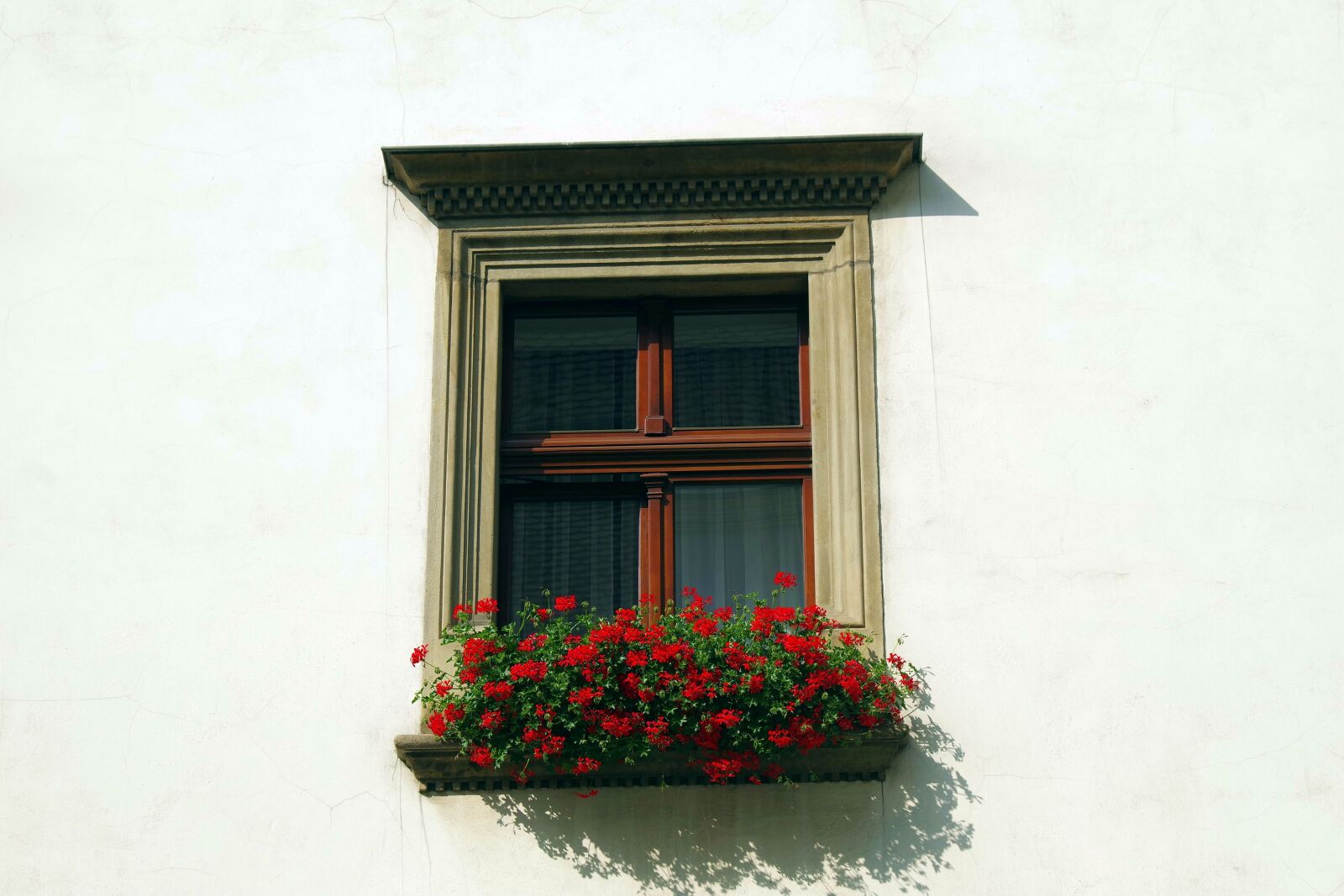 Pentax K-S2 sample photo. Window, shutters, glass photography