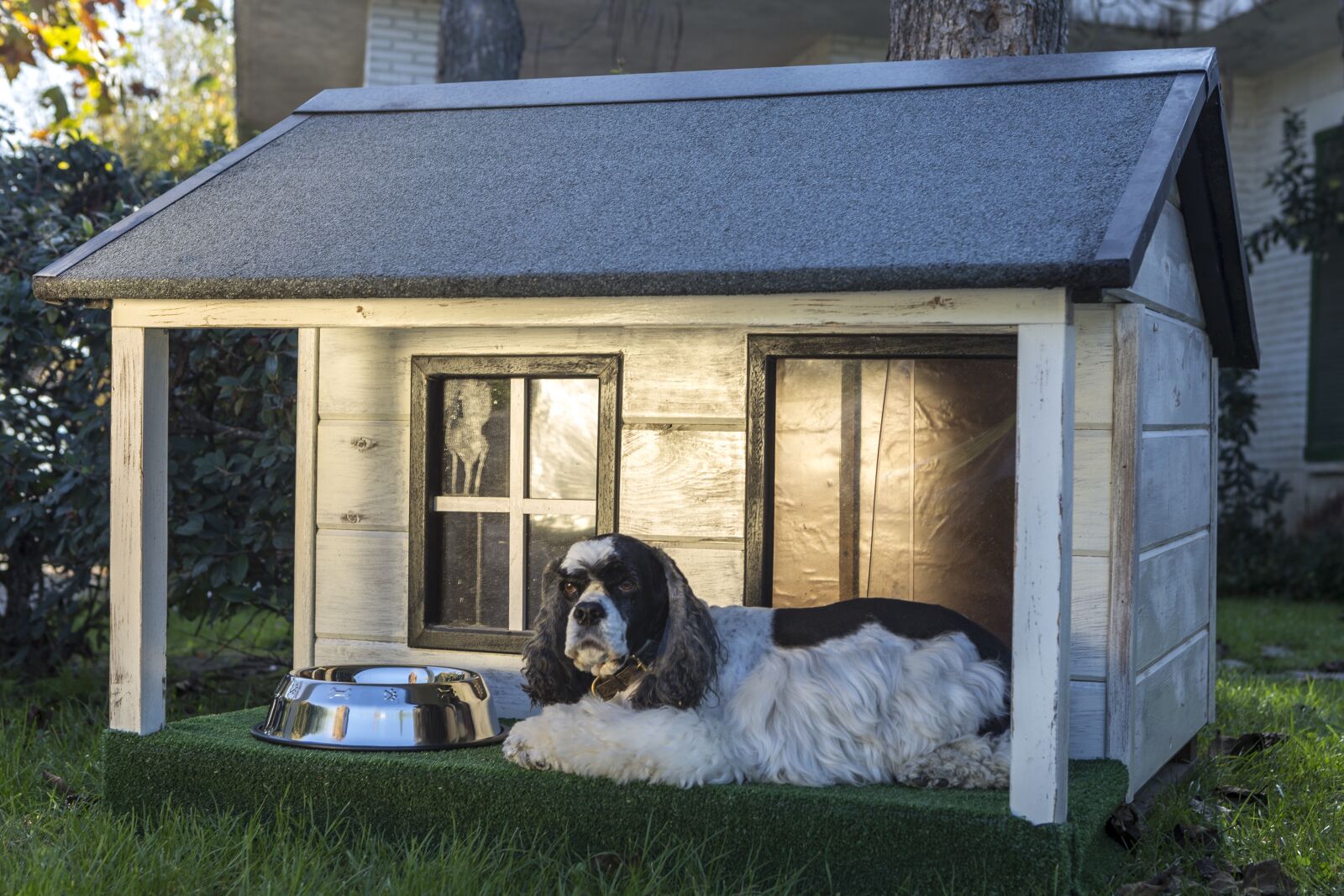 Canon EOS 5D Mark III sample photo. Dog houses, wooden houses photography