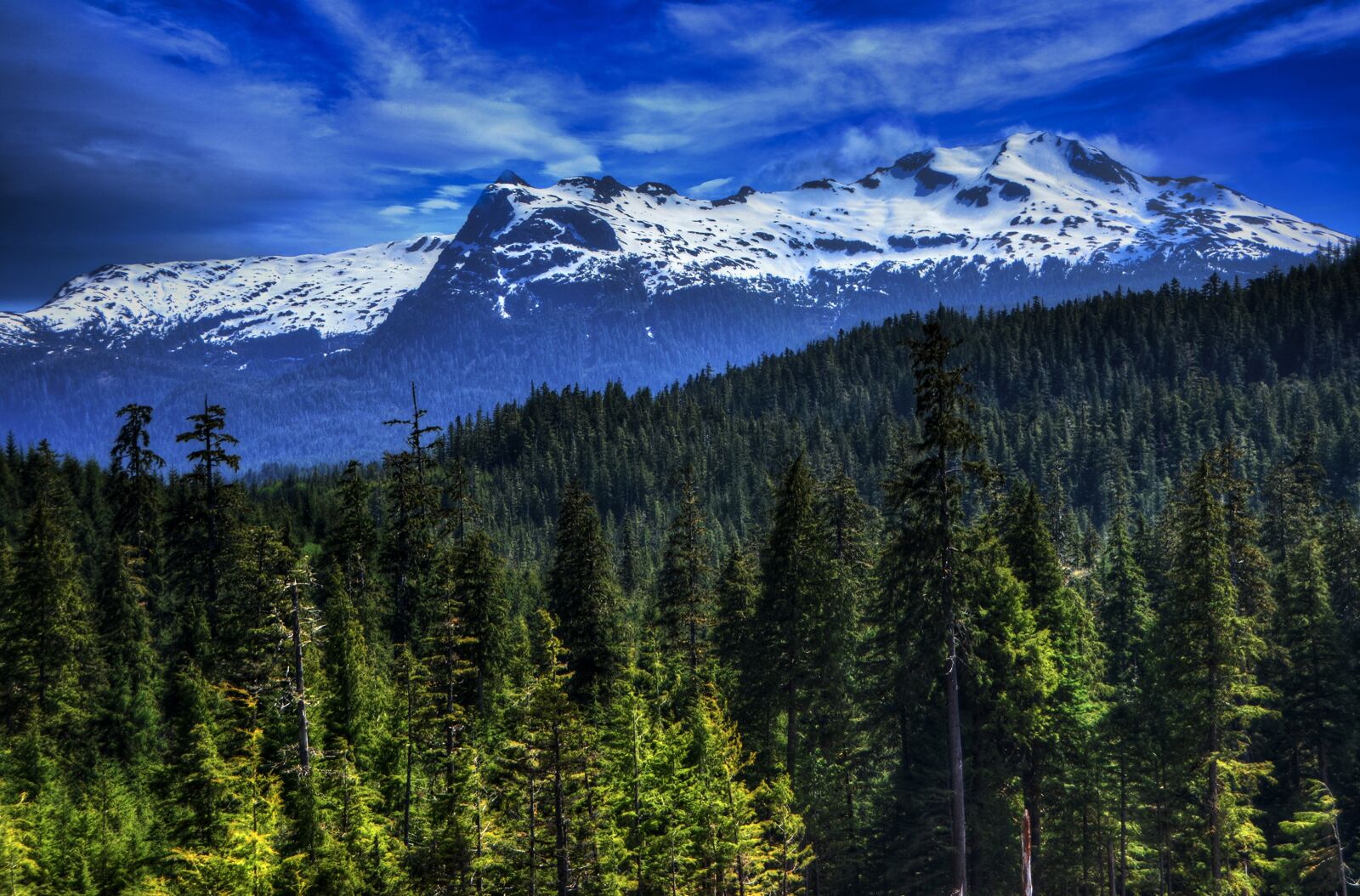 Nikon D7000 sample photo. Alaska, pow, prince of photography