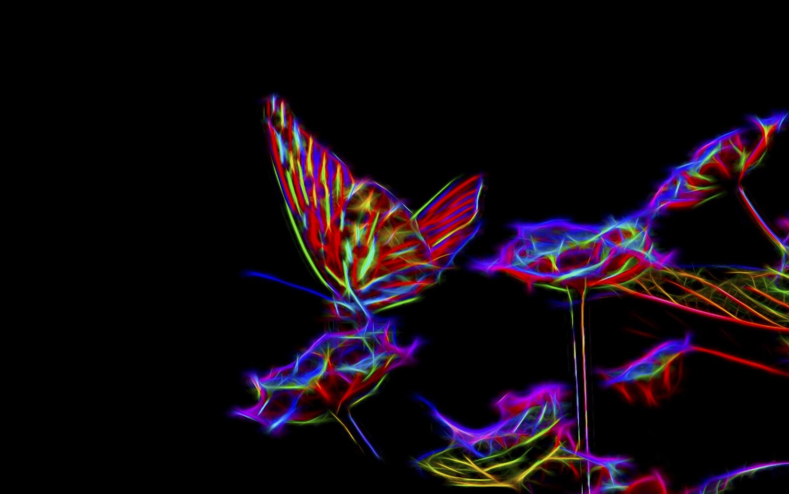 Canon EOS 500D (EOS Rebel T1i / EOS Kiss X3) sample photo. Abstract, neon, glowing photography
