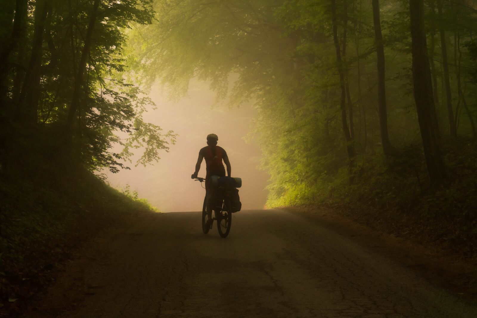 Sony Alpha a5000 (ILCE 5000) sample photo. Bike, foggy, cyclist photography