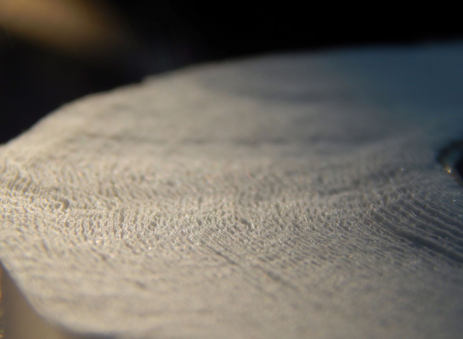 Nikon Coolpix L820 sample photo. Toilet paper, wallpaper, hygiene photography