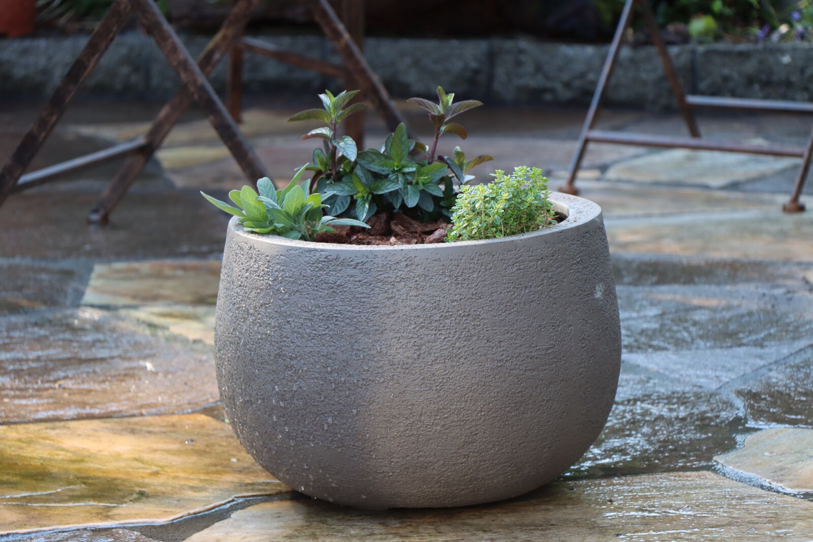 Canon EF-S 18-135mm F3.5-5.6 IS USM sample photo. Herbs, pot, spice photography