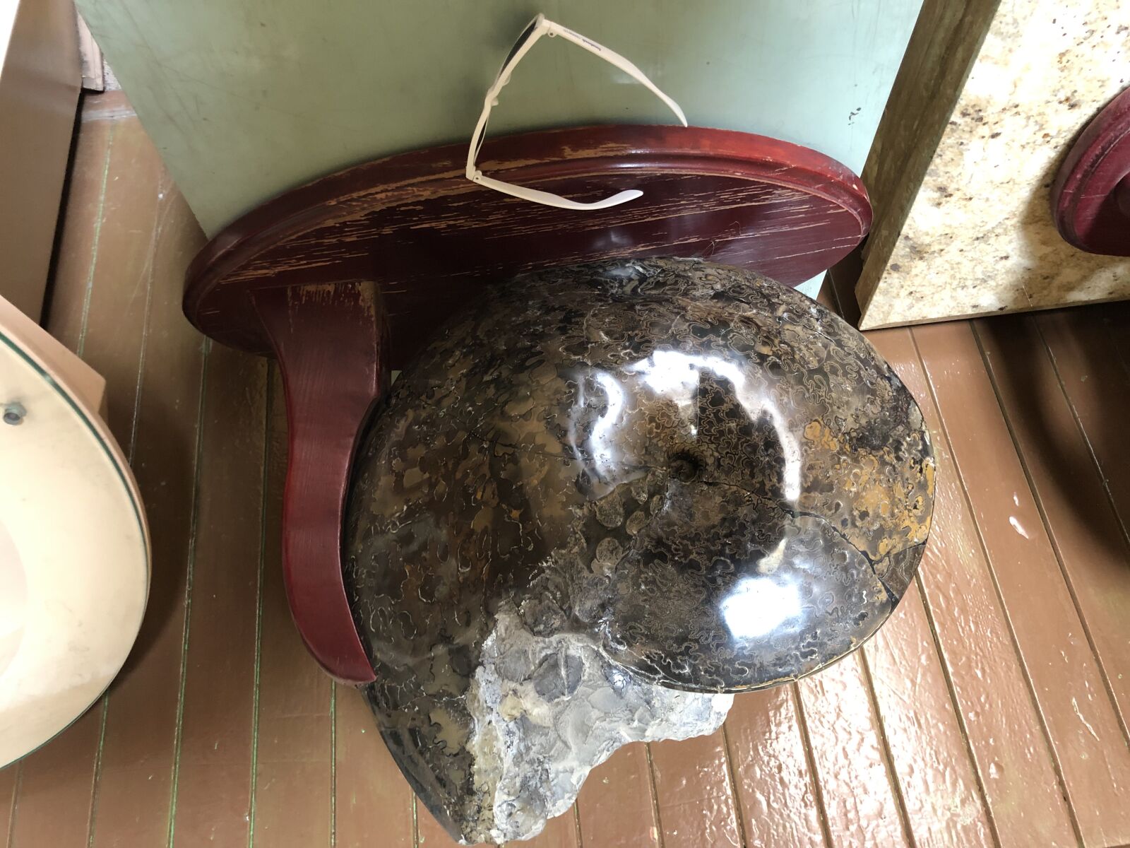 iPhone X back dual camera 4mm f/1.8 sample photo. Fossil, giant, rock, shell photography