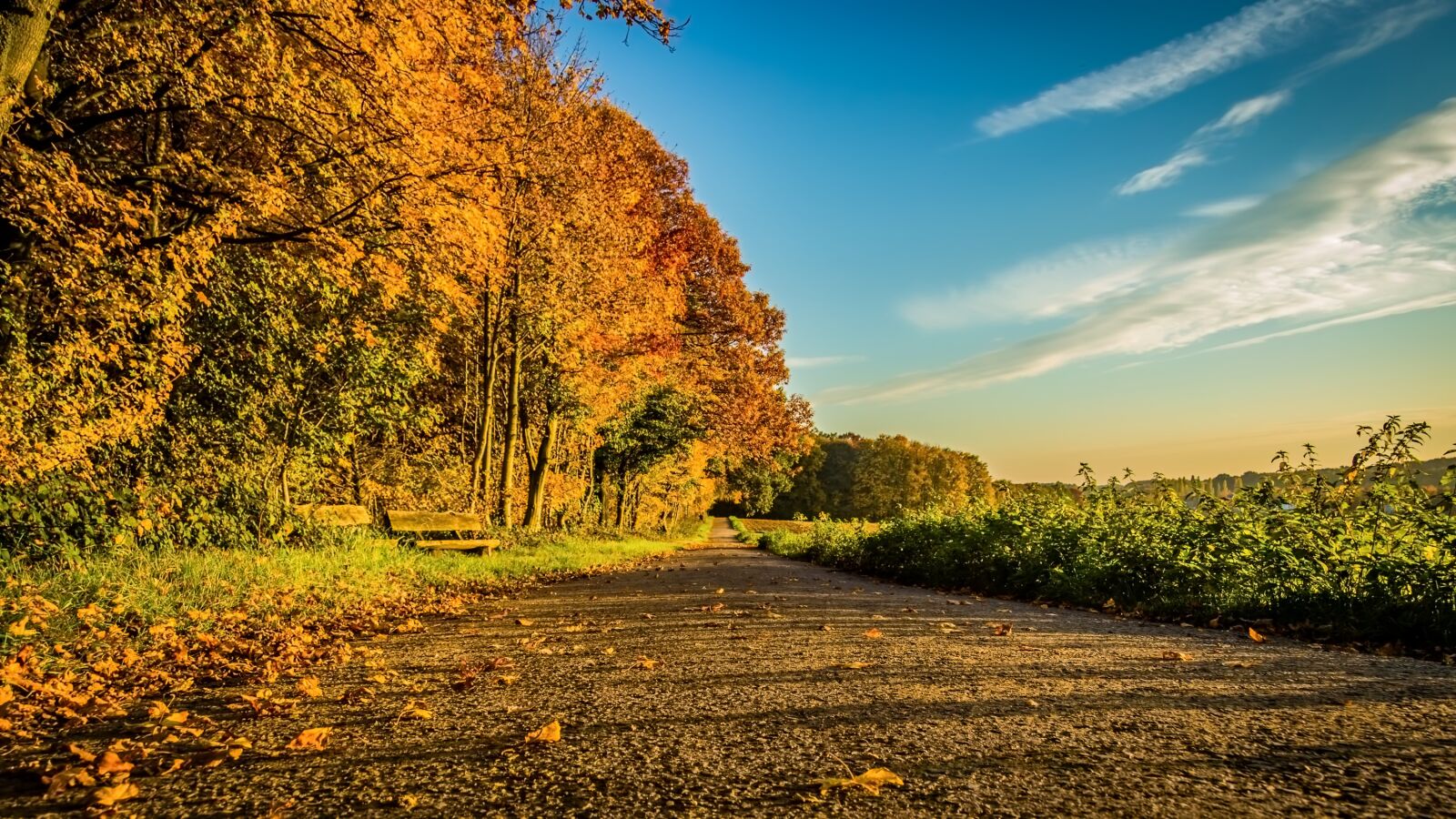 Canon EOS 100D (EOS Rebel SL1 / EOS Kiss X7) sample photo. Autumn, path, sunset photography