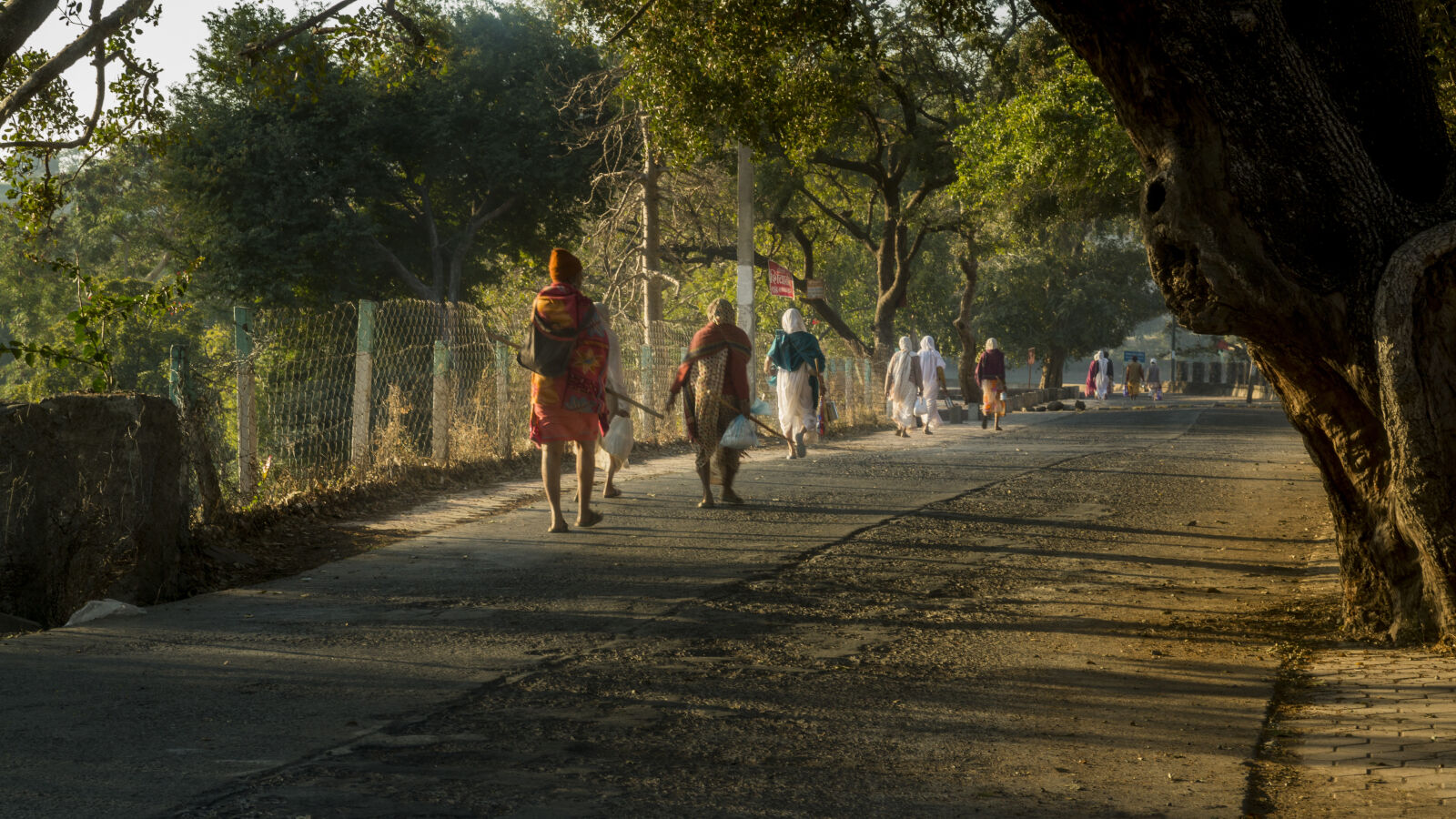 Canon EOS 5D Mark III sample photo. Mandu photography