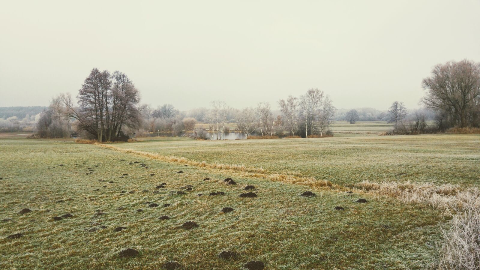 LG G4 sample photo. Germany, berlin, nature photography