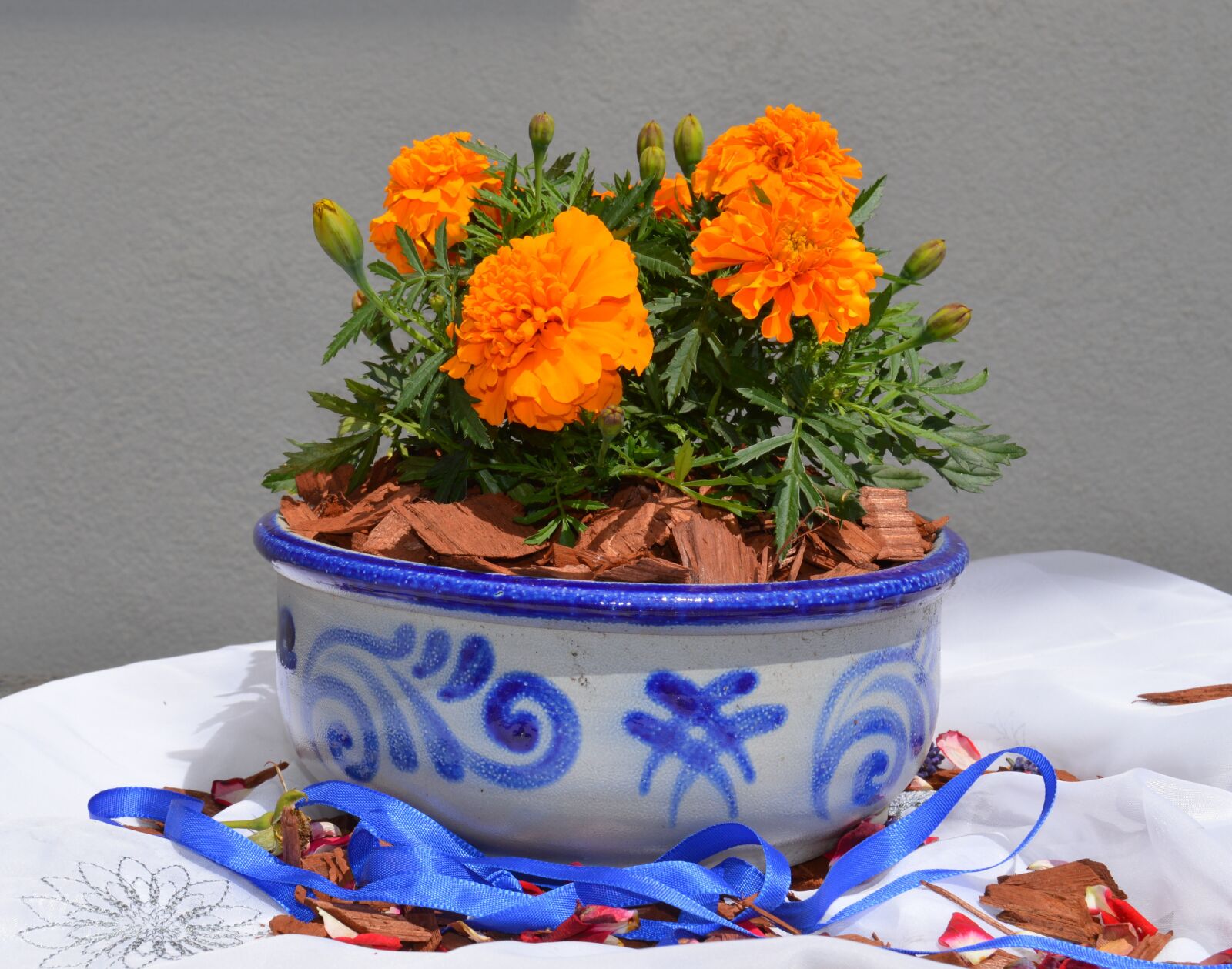 Nikon D3200 sample photo. Earthenware, ceramic, grey photography