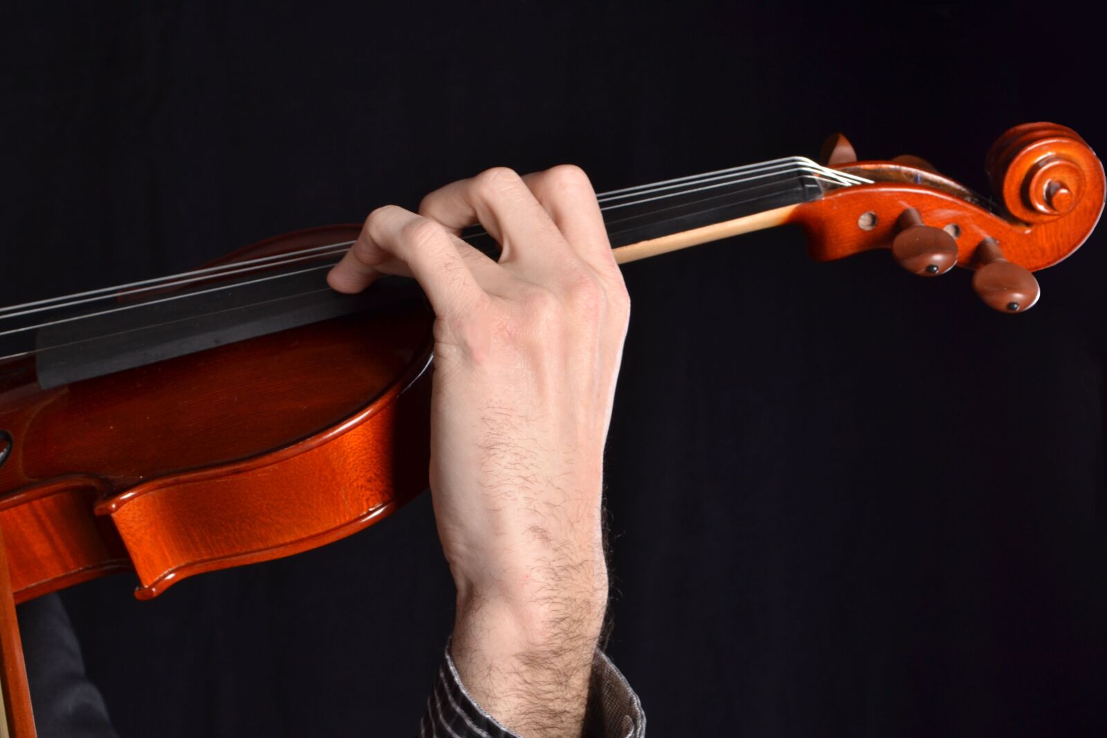 Nikon D3100 sample photo. Violin, music, instrument photography