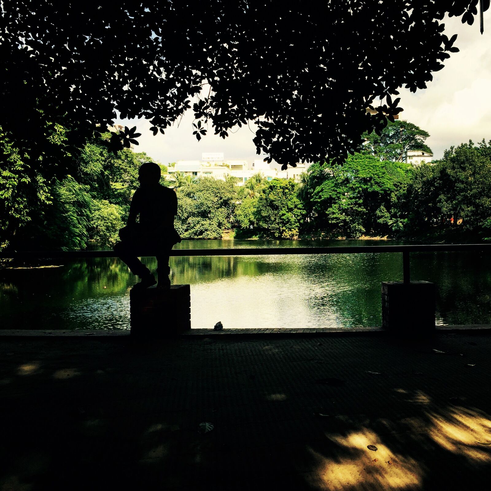 iPhone 6 back camera 4.15mm f/2.2 sample photo. Lake, view photography