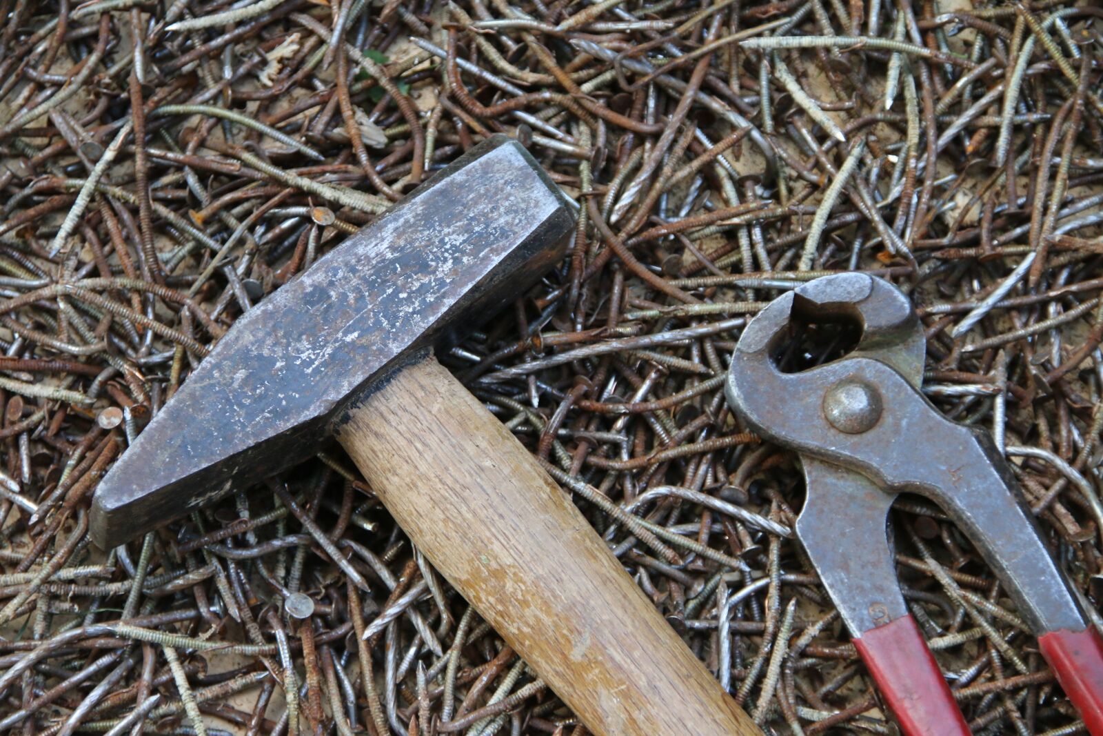 Canon EOS 70D sample photo. Nails, used, rusty photography