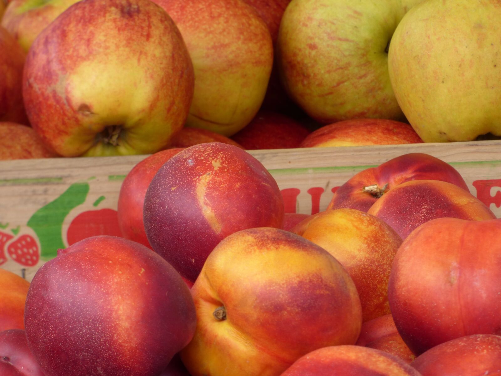 Panasonic DMC-FZ72 sample photo. Apples, nectarines, apple photography