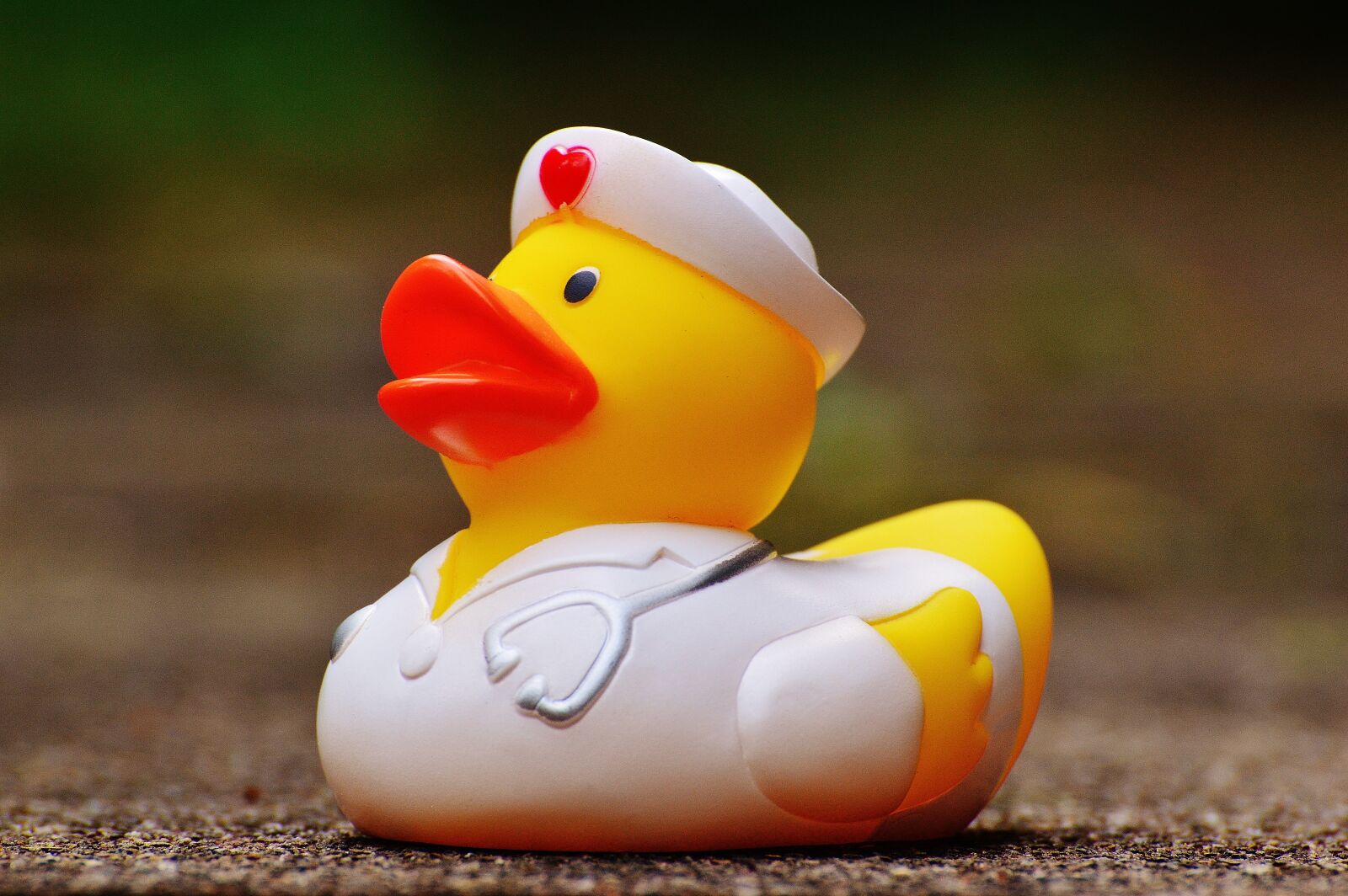 Nikon D3200 sample photo. Rubber duck, bath duck photography
