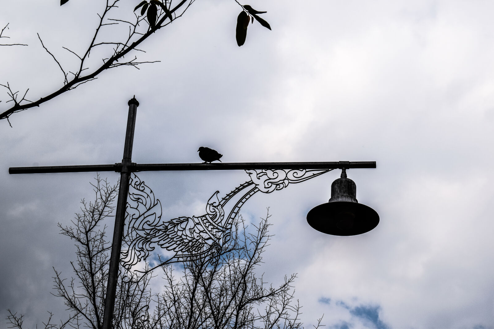 Nikon D3300 sample photo