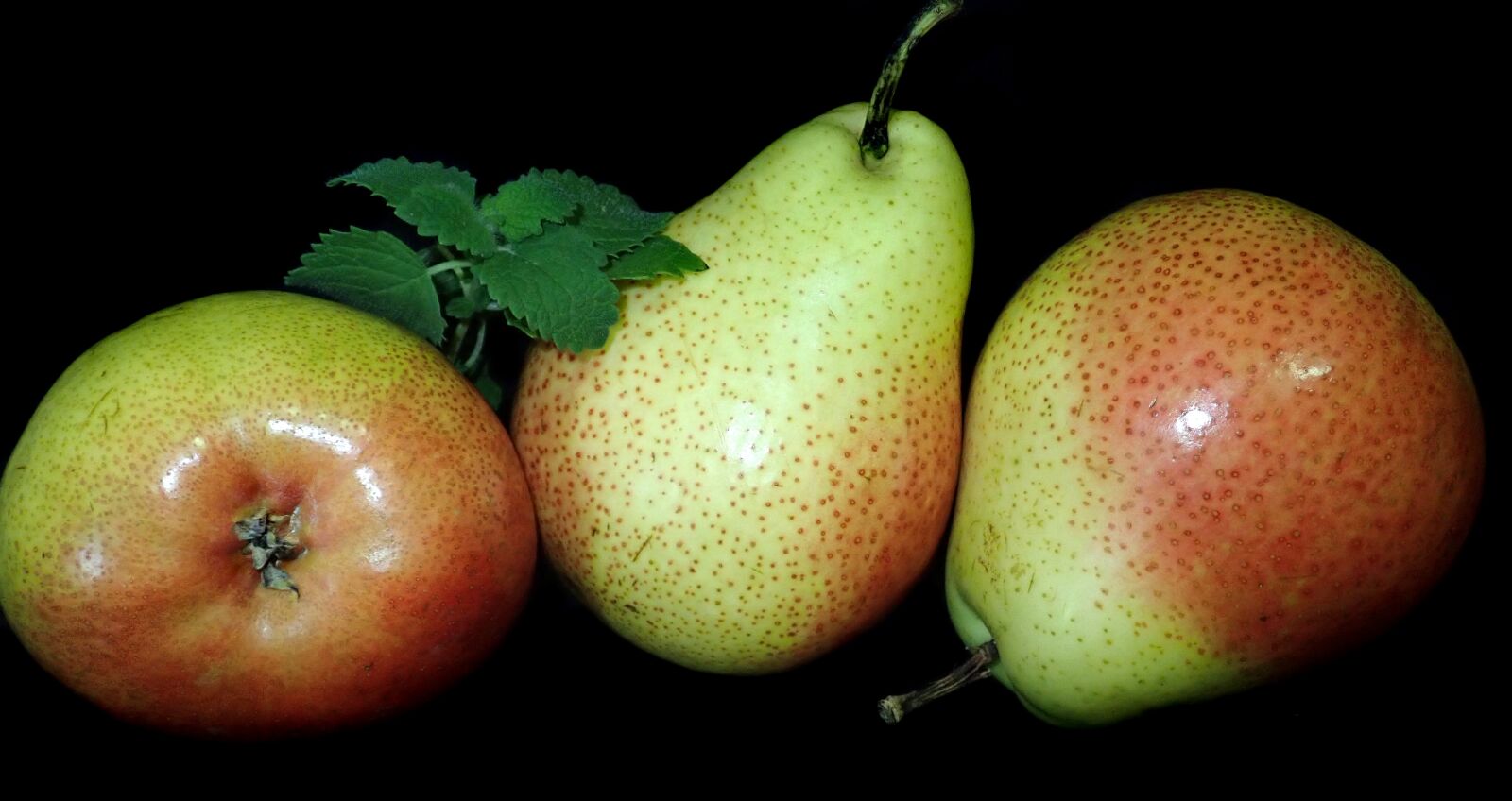 Olympus TG-5 sample photo. Fruit, pears, ripe photography