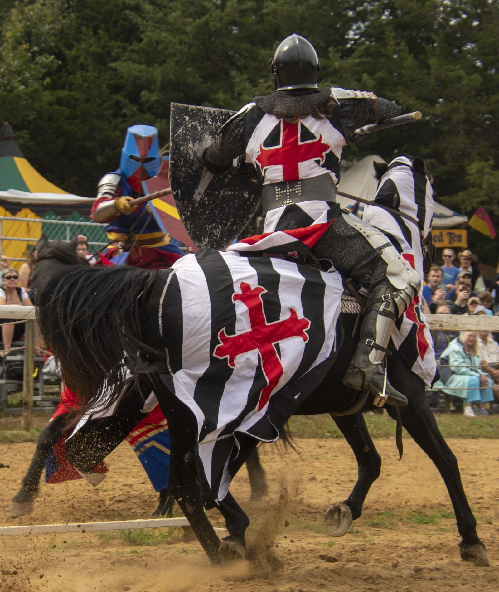 Nikon D850 sample photo. Joust, jousting, combat photography
