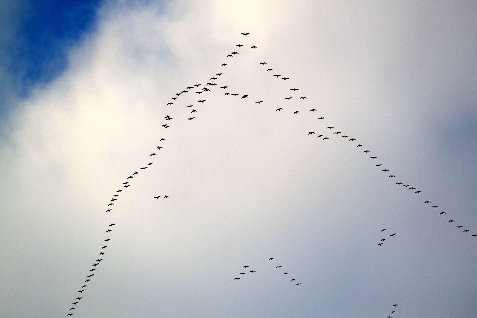 Nikon D3100 sample photo. Sky, blue, clouds photography