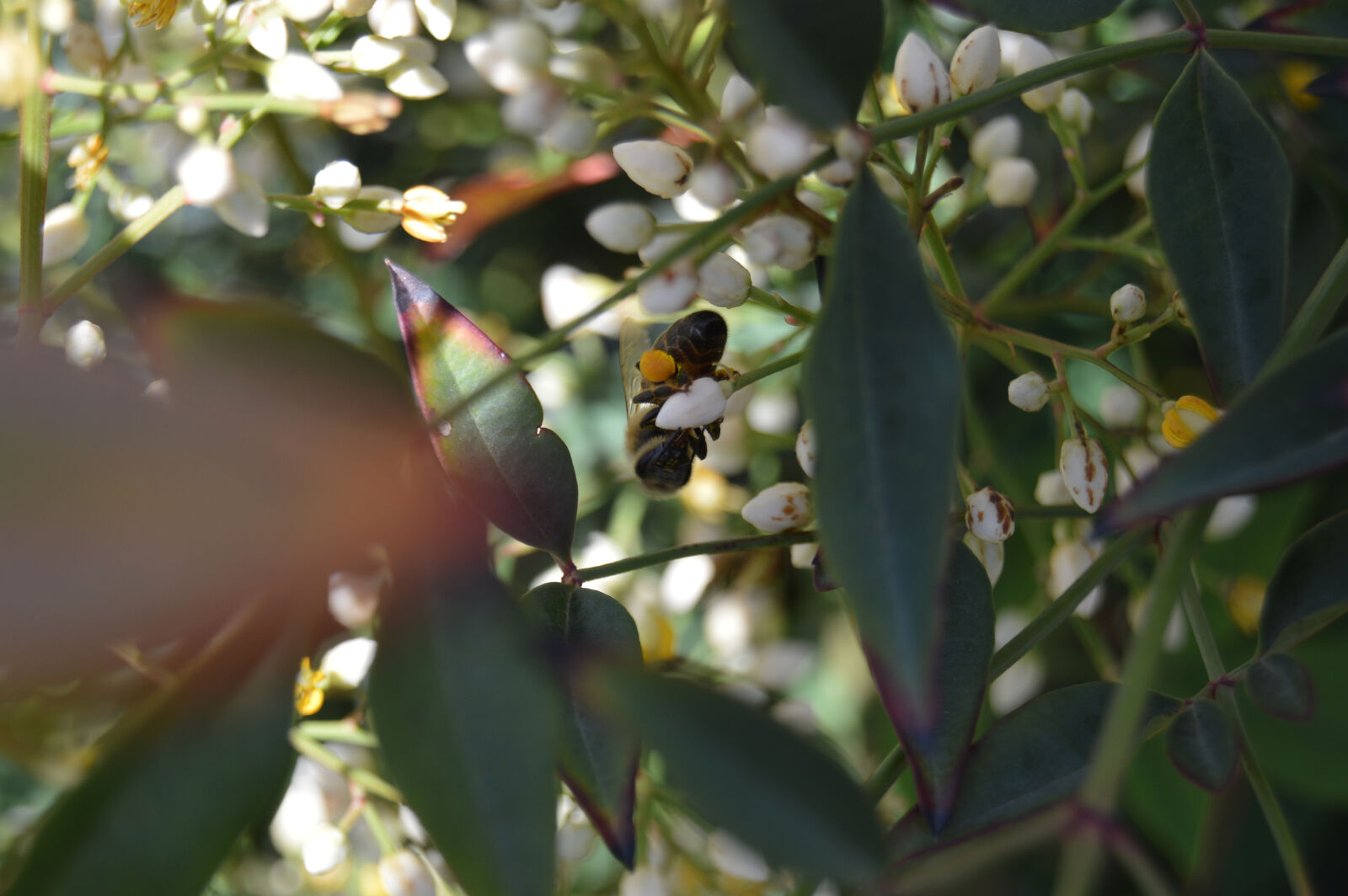 Nikon D3200 sample photo