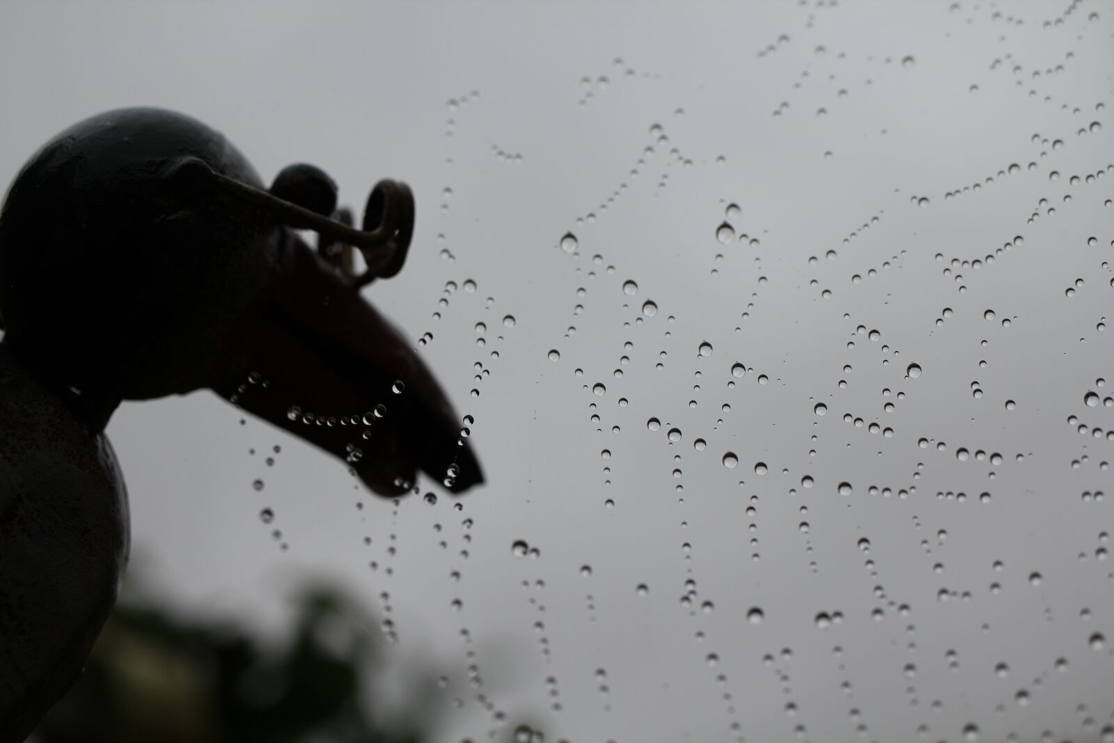 Canon EOS 550D (EOS Rebel T2i / EOS Kiss X4) sample photo. Iron figure, cobweb, raindrop photography