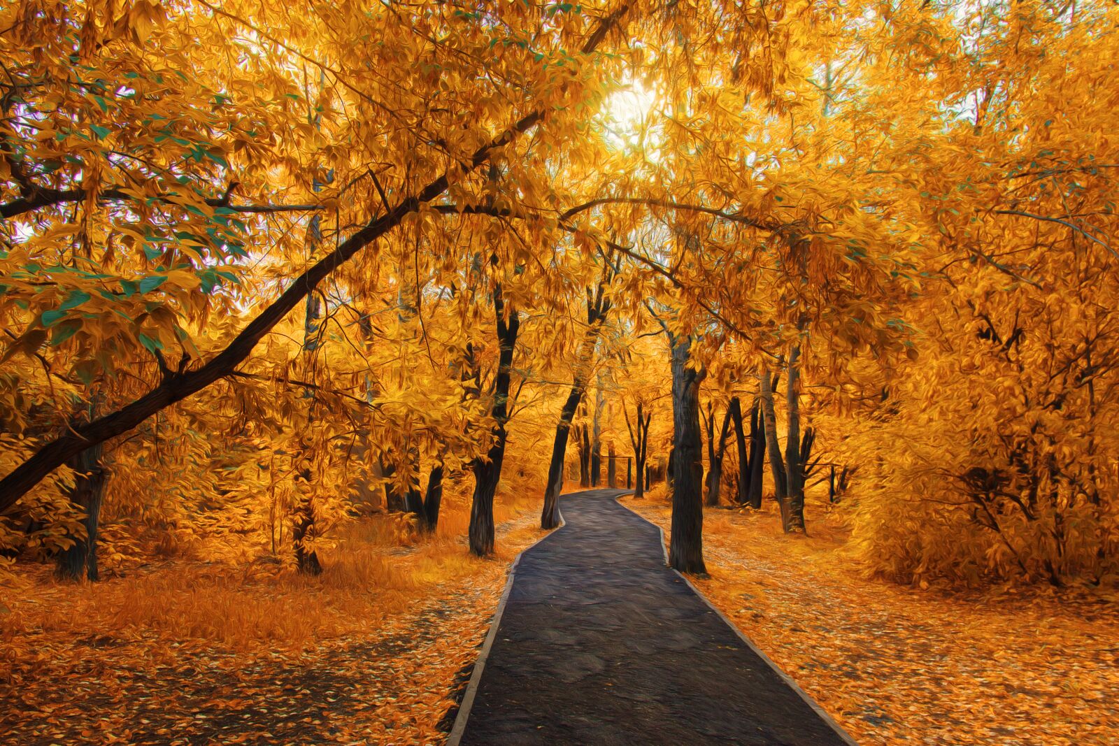 Canon EOS 550D (EOS Rebel T2i / EOS Kiss X4) sample photo. Autumn, park, walking photography