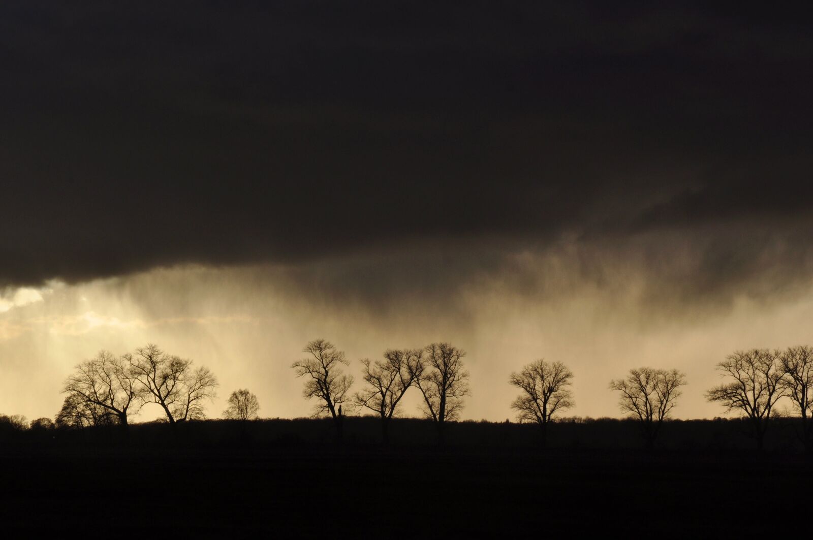 Nikon D90 sample photo. Mecklenburg vorpommern, levitz, thunderstorm photography