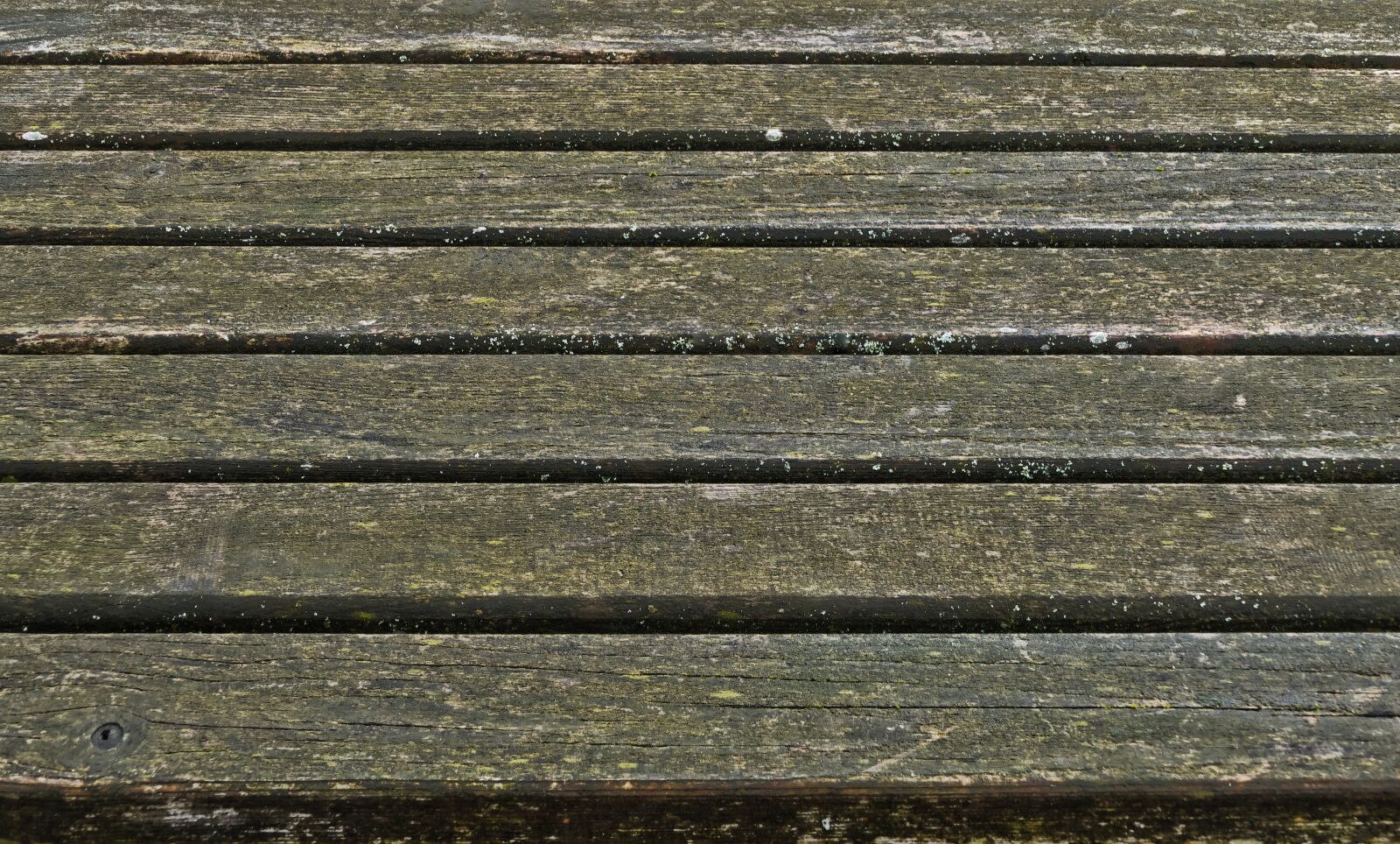 Panasonic Lumix DMC-FZ1000 sample photo. Bohlen, wooden table, boards photography