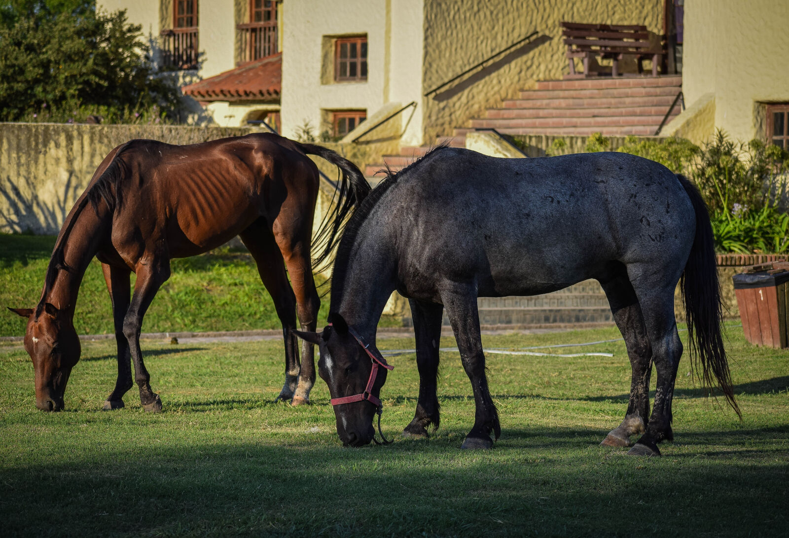 Nikon D5300 sample photo. Adobe, lightroom, argentina, buenos photography