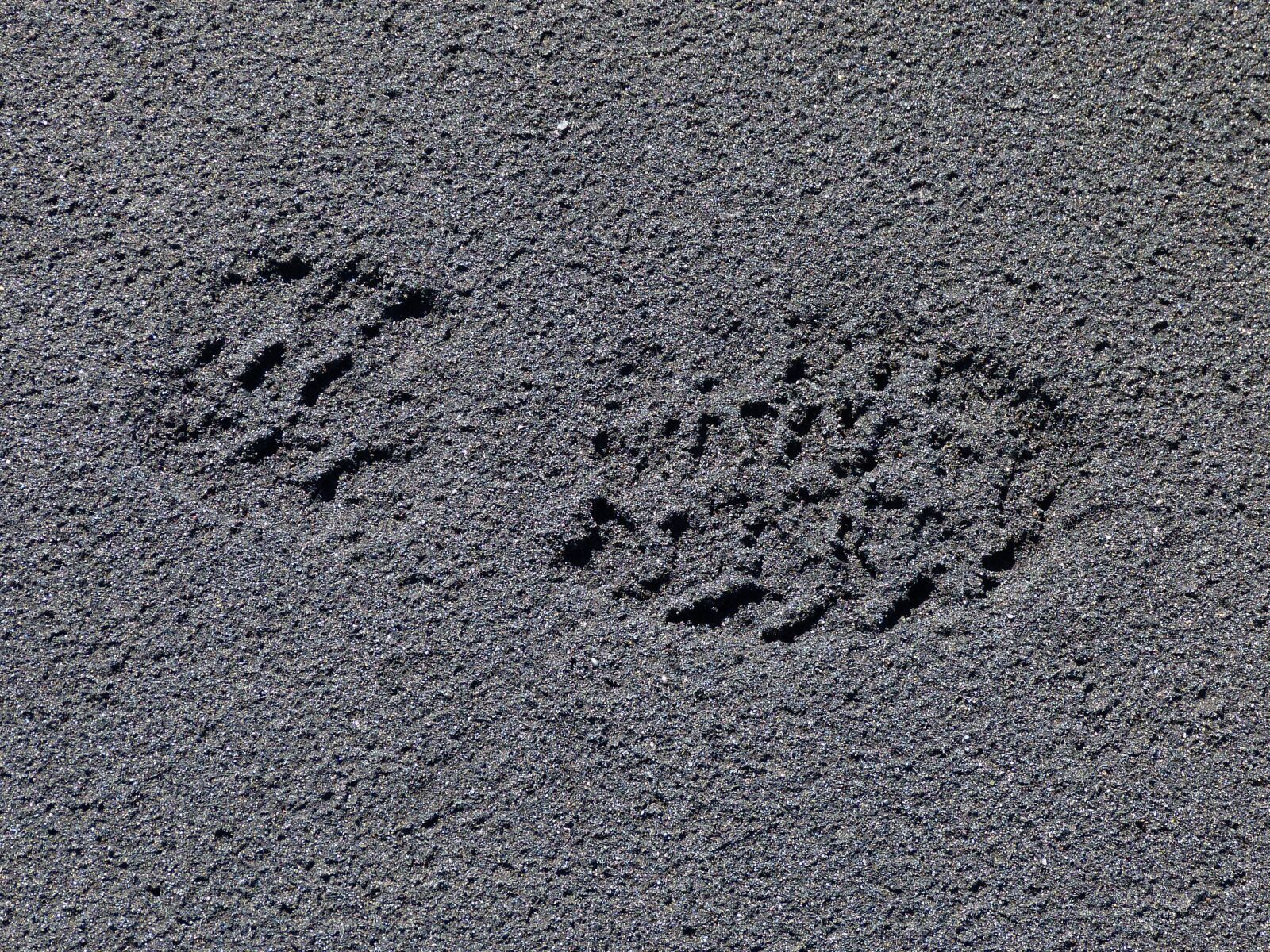 Panasonic Lumix DMC-FZ150 sample photo. Foot, trace, tracks in photography