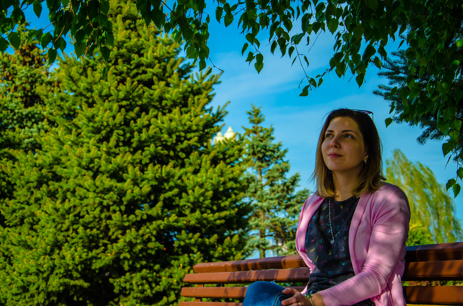 Nikon D5100 sample photo