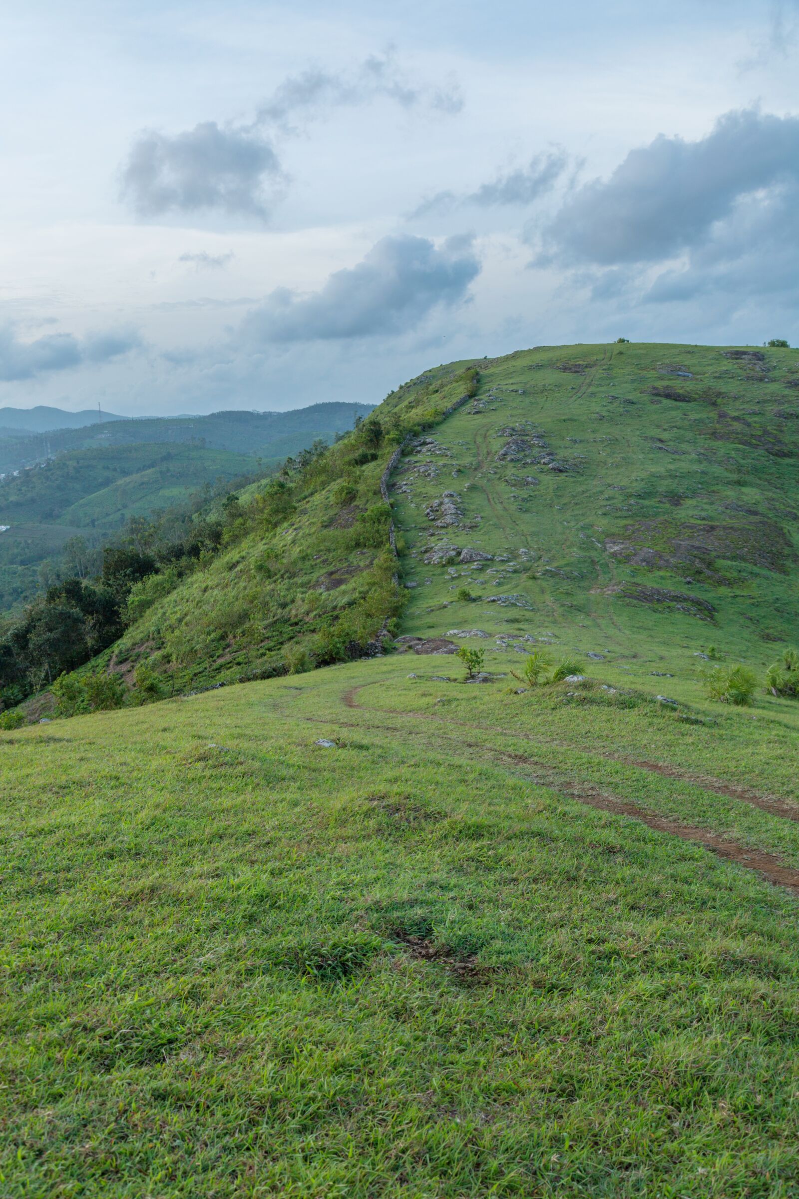 Canon EF 24-105mm F4L IS USM sample photo. Landscape, meadows, greenery photography