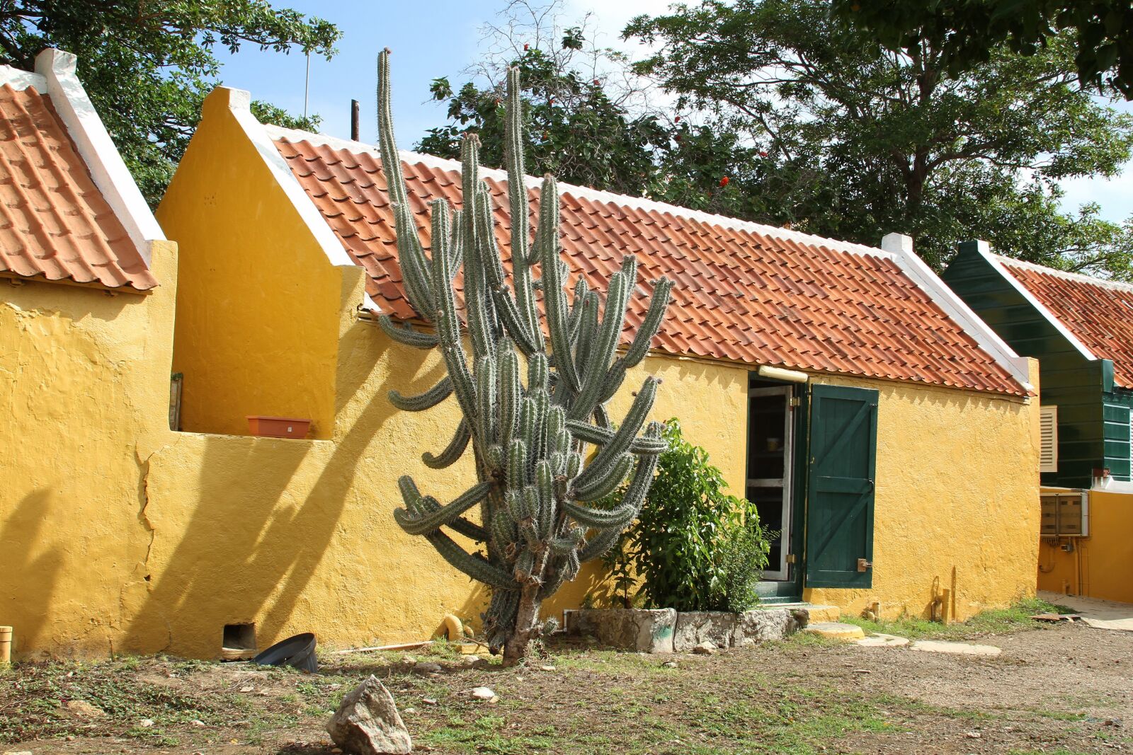 Canon EOS 7D sample photo. Cactus, curasao, building photography