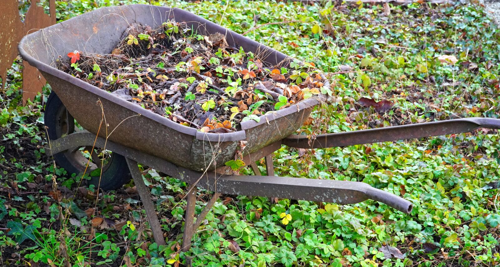 Sony E PZ 18-105mm F4 G OSS sample photo. Wheelbarrows, garden, gardening photography