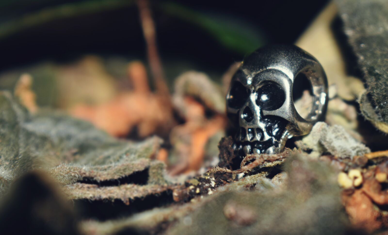 Nikon D5300 sample photo. Skull metal, skull, rock photography
