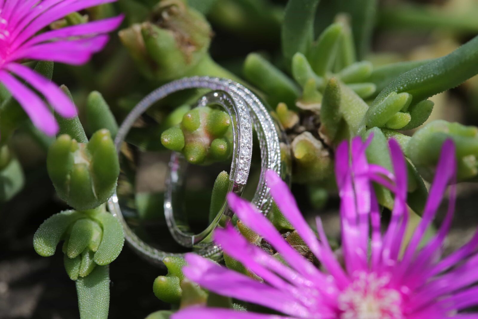 Canon EF 100mm F2.8 Macro USM sample photo. Gold, platinum, rings, wedding photography