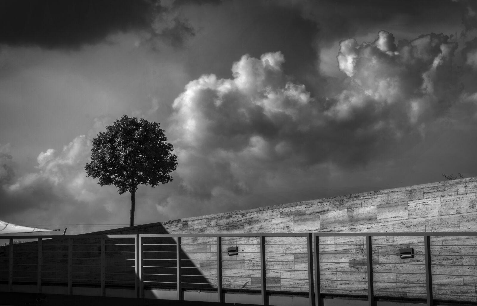 Canon EF-S 18-135mm F3.5-5.6 IS USM sample photo. Lonely tree, black and photography