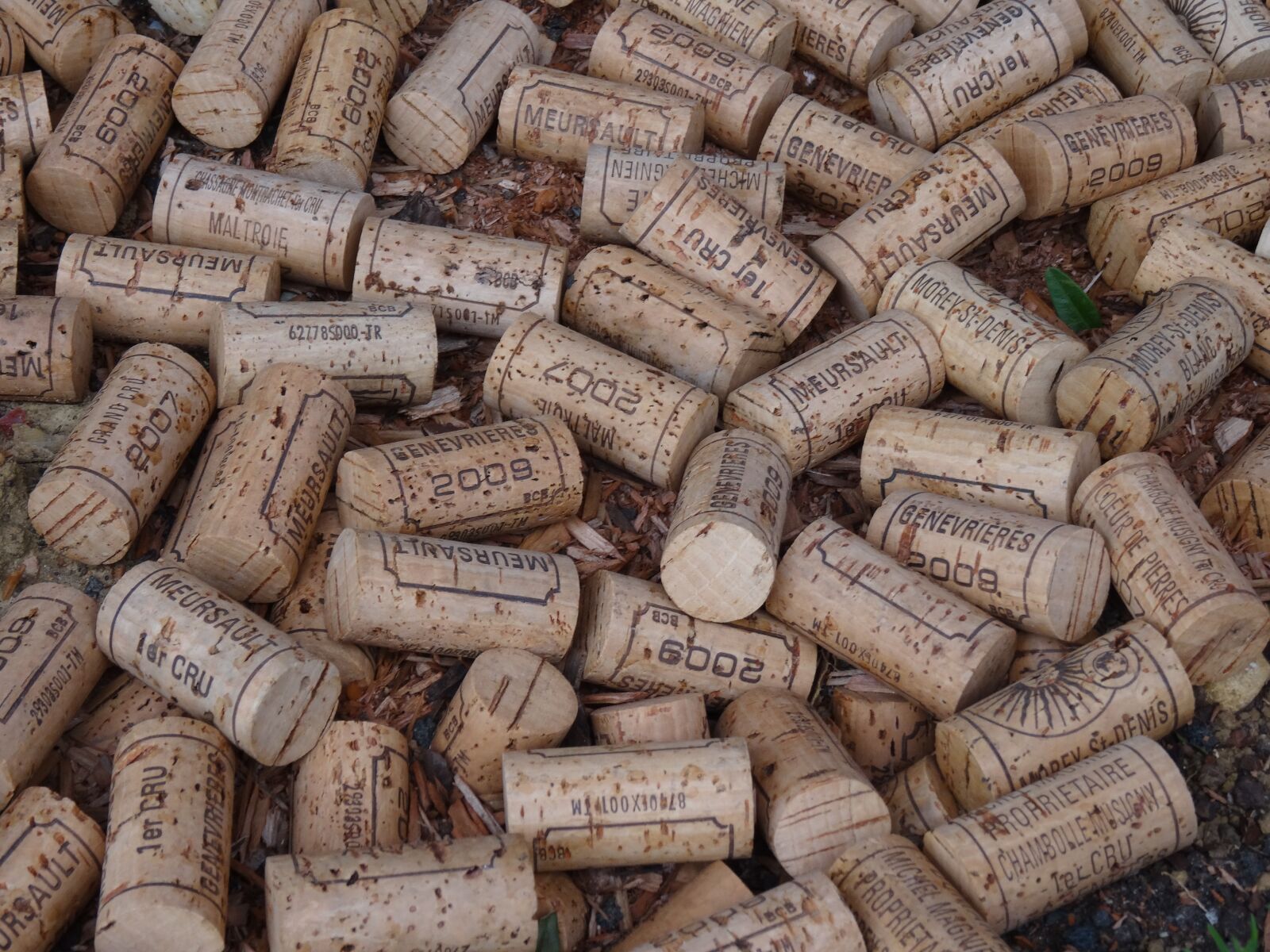 Sony DSC-HX50 sample photo. Cork, wine, wineries photography