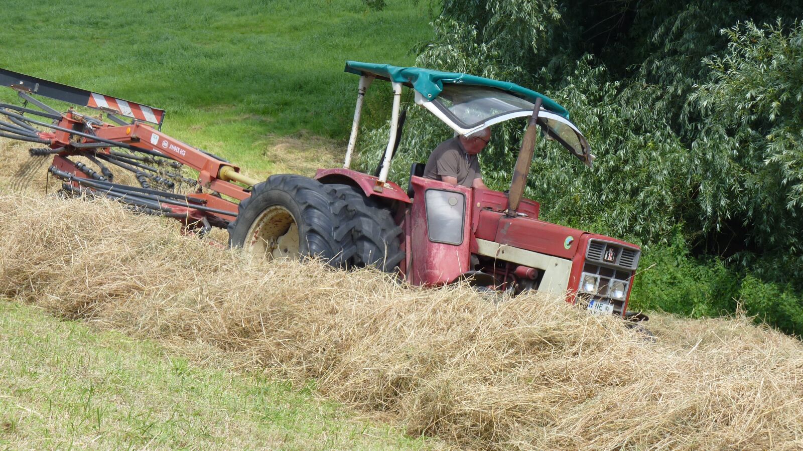 Panasonic Lumix DMC-FZ35 (Lumix DMC-FZ38) sample photo. Hay, cattle feed, summer photography