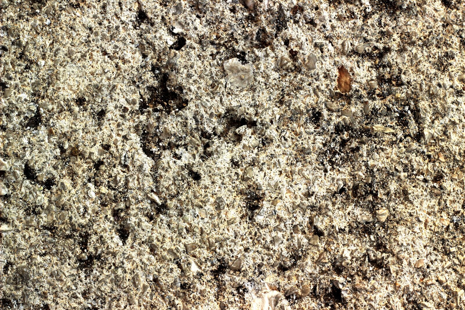 Canon EOS 600D (Rebel EOS T3i / EOS Kiss X5) + Canon EF 50mm F1.8 II sample photo. Stone, texture, background photography