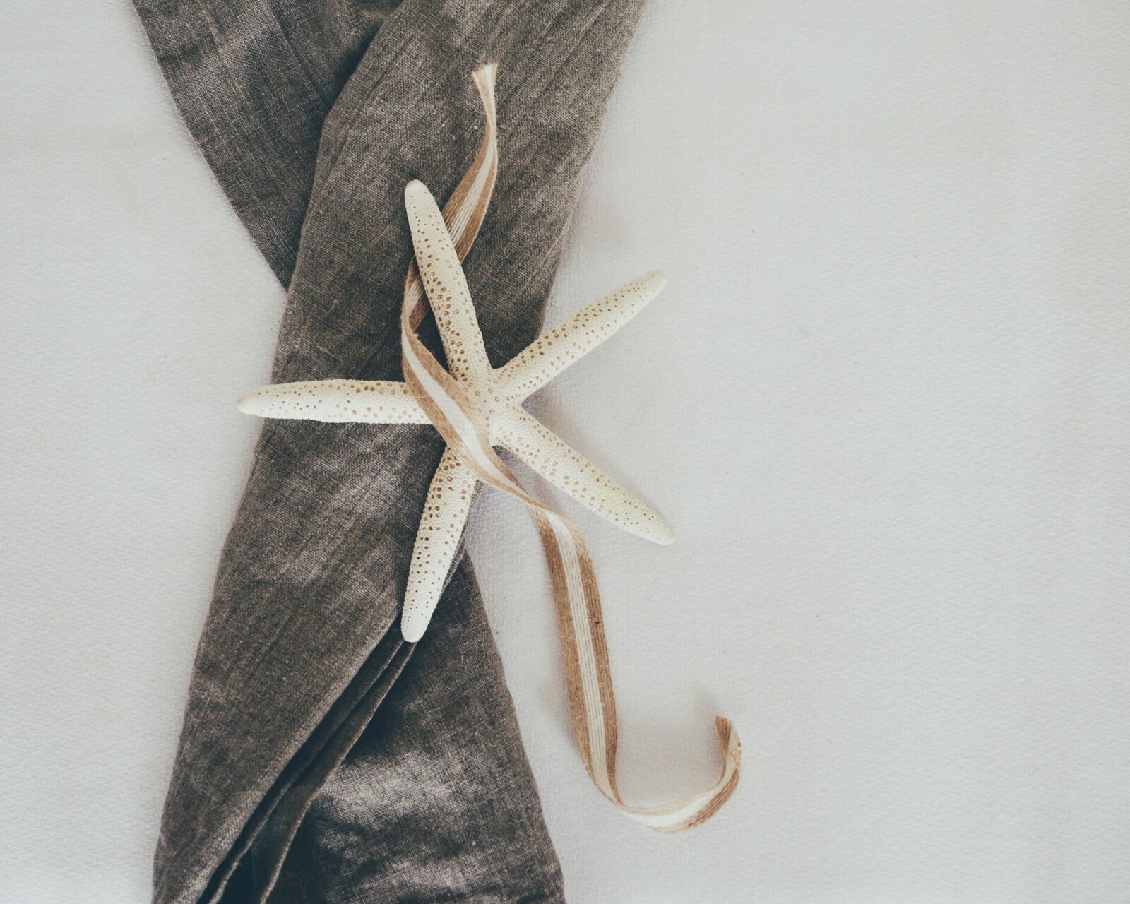 Nikon D5100 sample photo. Starfish, looking down, from photography