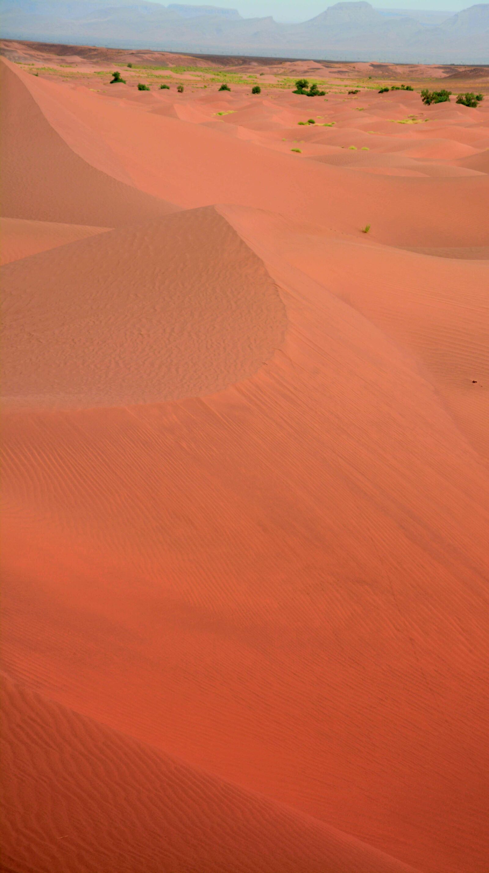Nikon D5200 sample photo. Sahara, orange, vacations photography