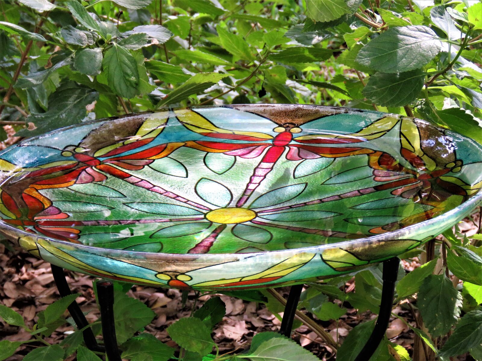 Canon PowerShot SX60 HS sample photo. Bird bath, colorful, garden photography