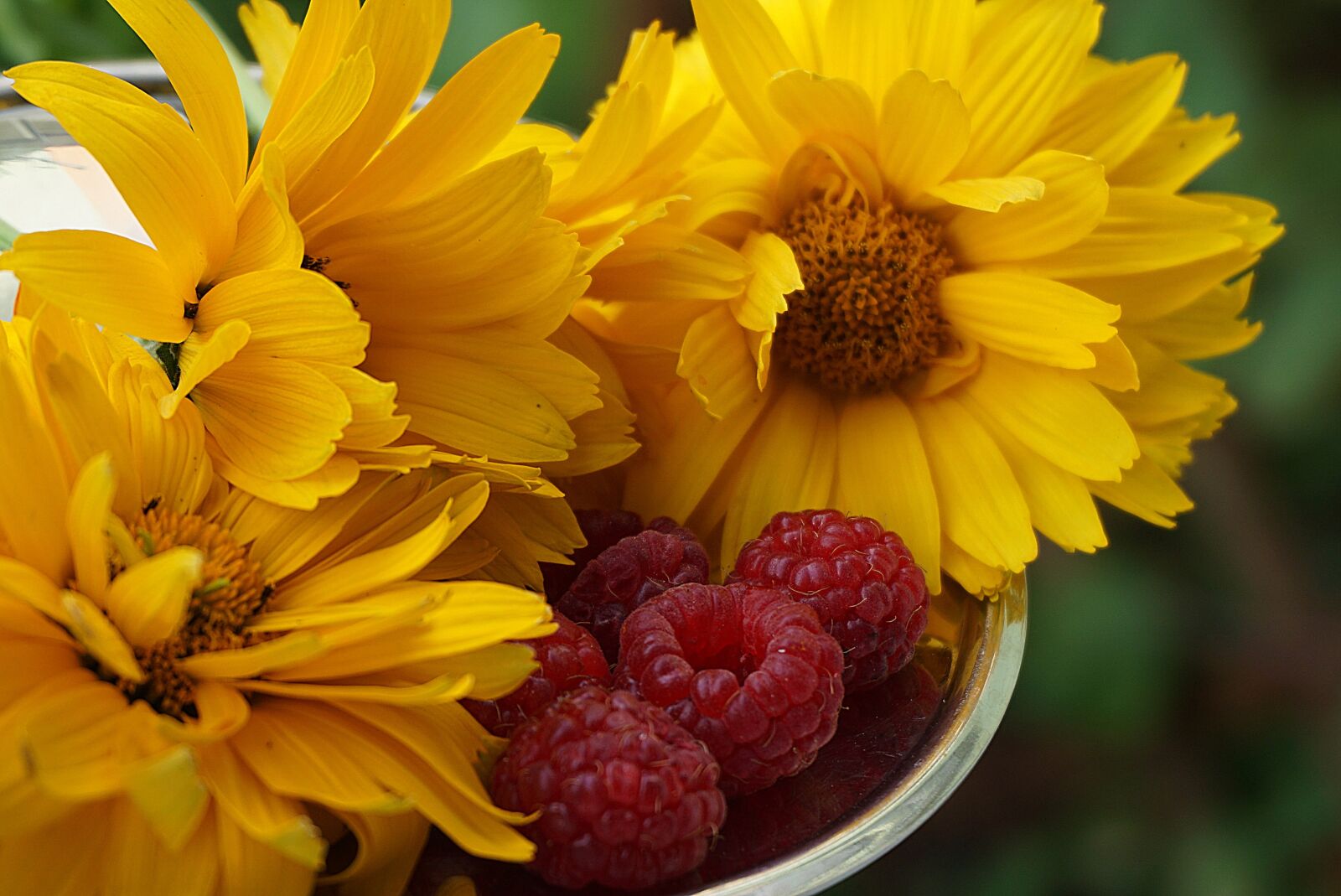 Sony a6000 sample photo. Yellow flowers, malin, food photography