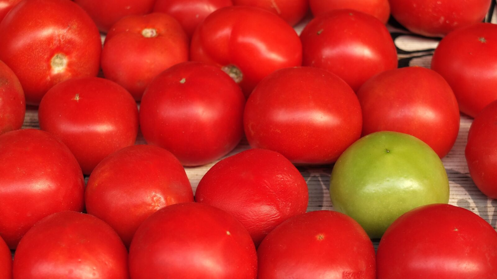 Fujifilm X10 sample photo. Tomatoes, red, green tomato photography