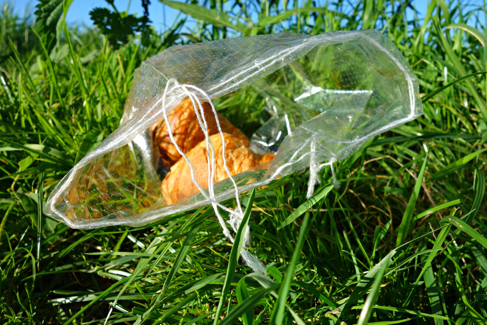 Sony Cyber-shot DSC-RX100 sample photo. Bag, grass, litter, litterbug photography