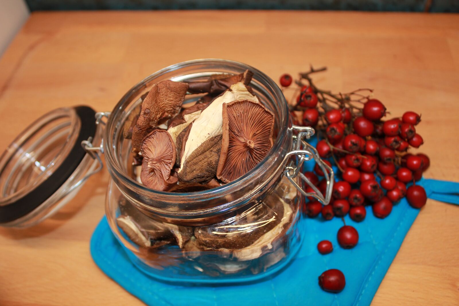 Canon EOS 60D sample photo. Dried mushrooms, food, dried photography