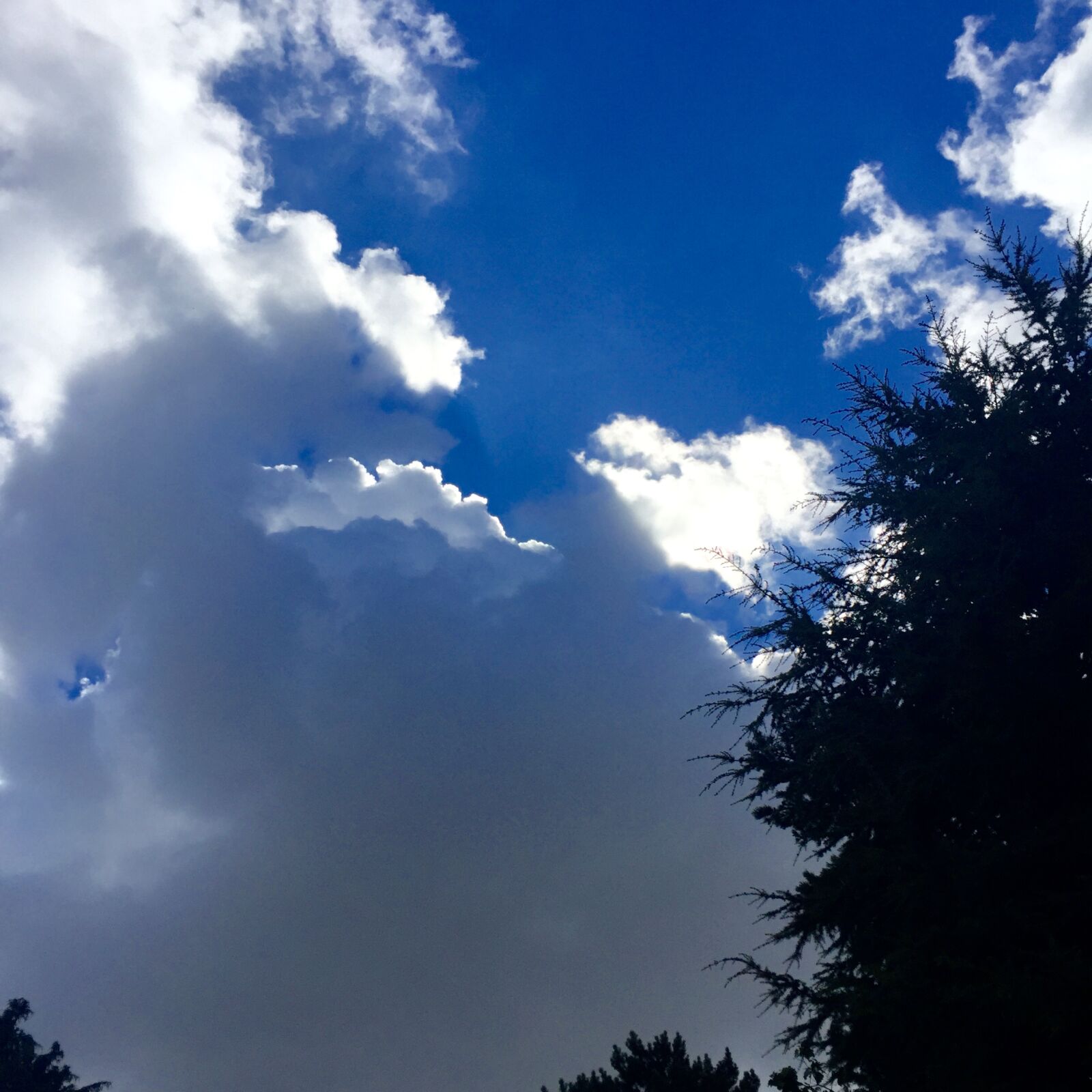 Apple iPhone 6 sample photo