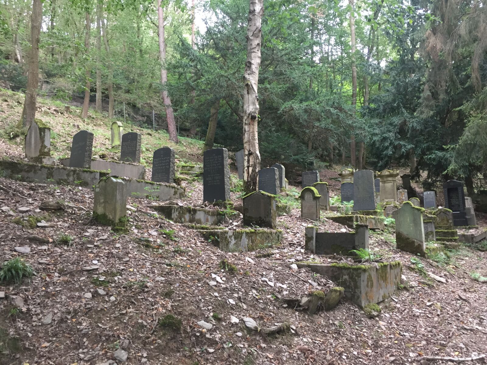 iPhone 6 back camera 4.15mm f/2.2 sample photo. Cemetery, graves, grave stones photography