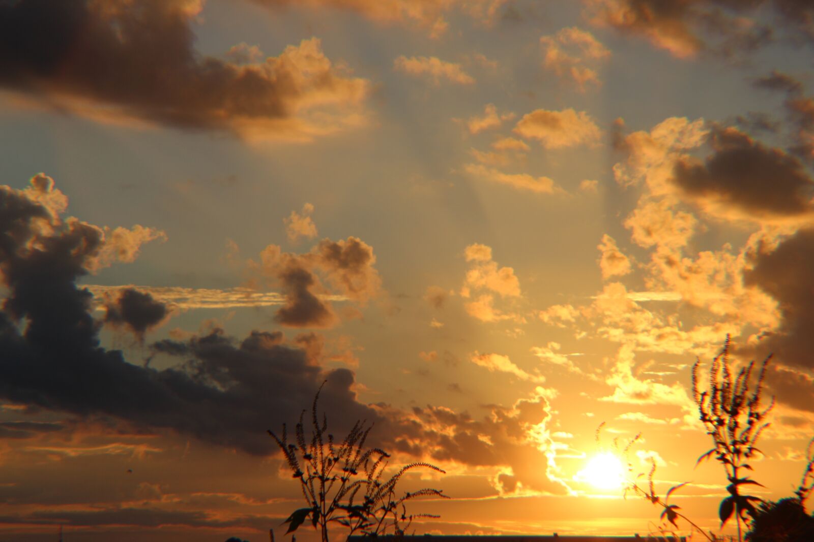 Canon EOS 1200D (EOS Rebel T5 / EOS Kiss X70 / EOS Hi) sample photo. Sunset, trees, partly cloudy photography