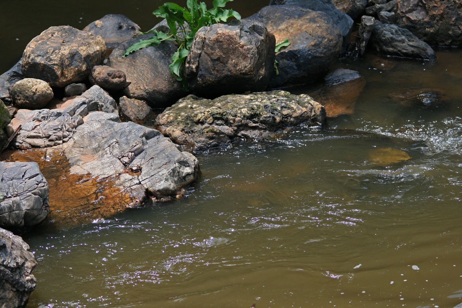 Canon EOS 400D (EOS Digital Rebel XTi / EOS Kiss Digital X) sample photo. Rocks in stream, stream photography
